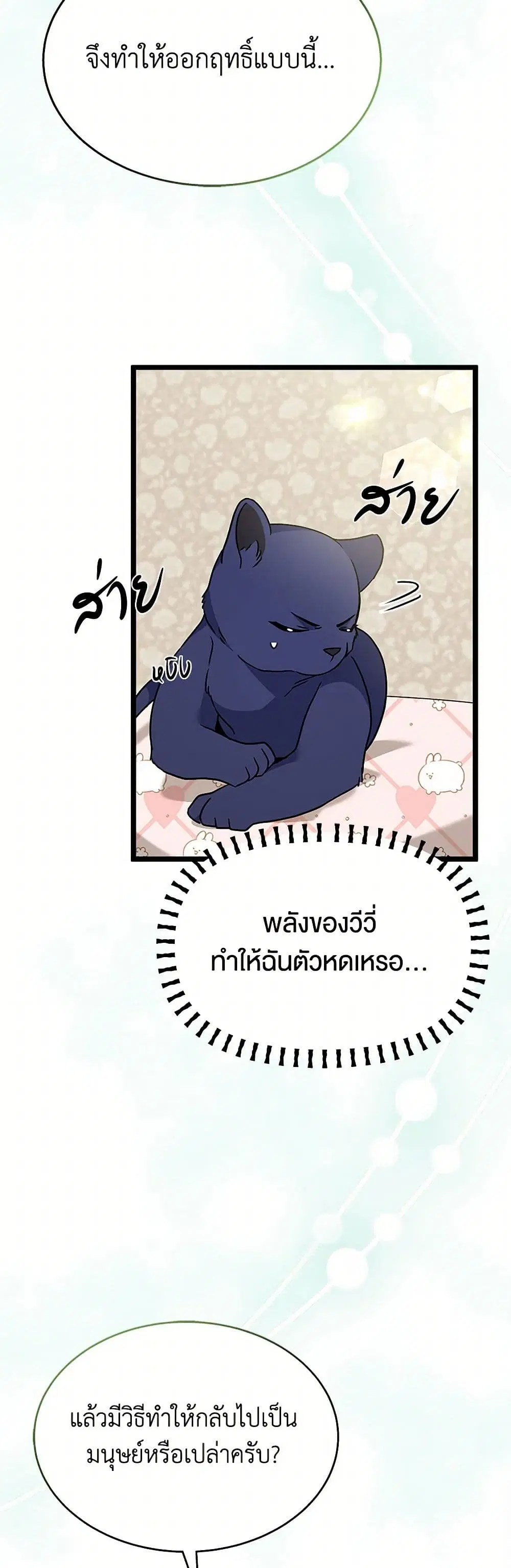 The Symbiotic Relationship Between a Panther and a Rabbit ตอนที่ 160 — หน้า 32 จาก 41