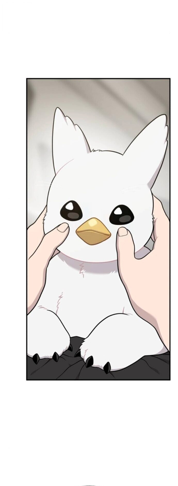 Hello, Griffin the Fluffy Tit! เฮลโหลกริฟฟิน! ตอนที่ 32 — หน้า 11 จาก 49