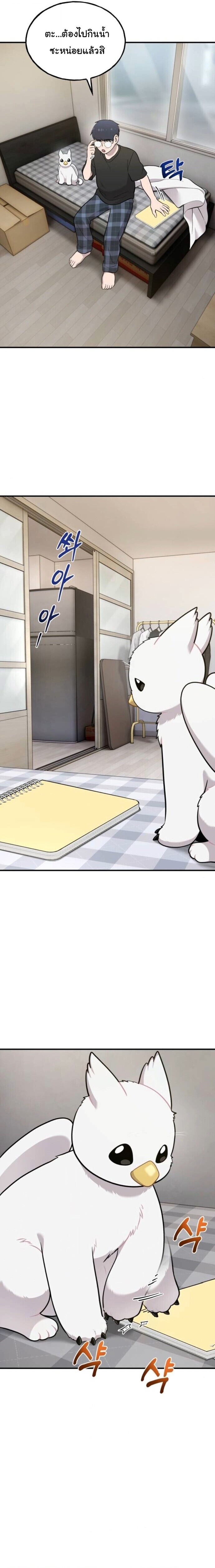 Hello, Griffin the Fluffy Tit! เฮลโหลกริฟฟิน! ตอนที่ 15 — หน้า 17 จาก 19