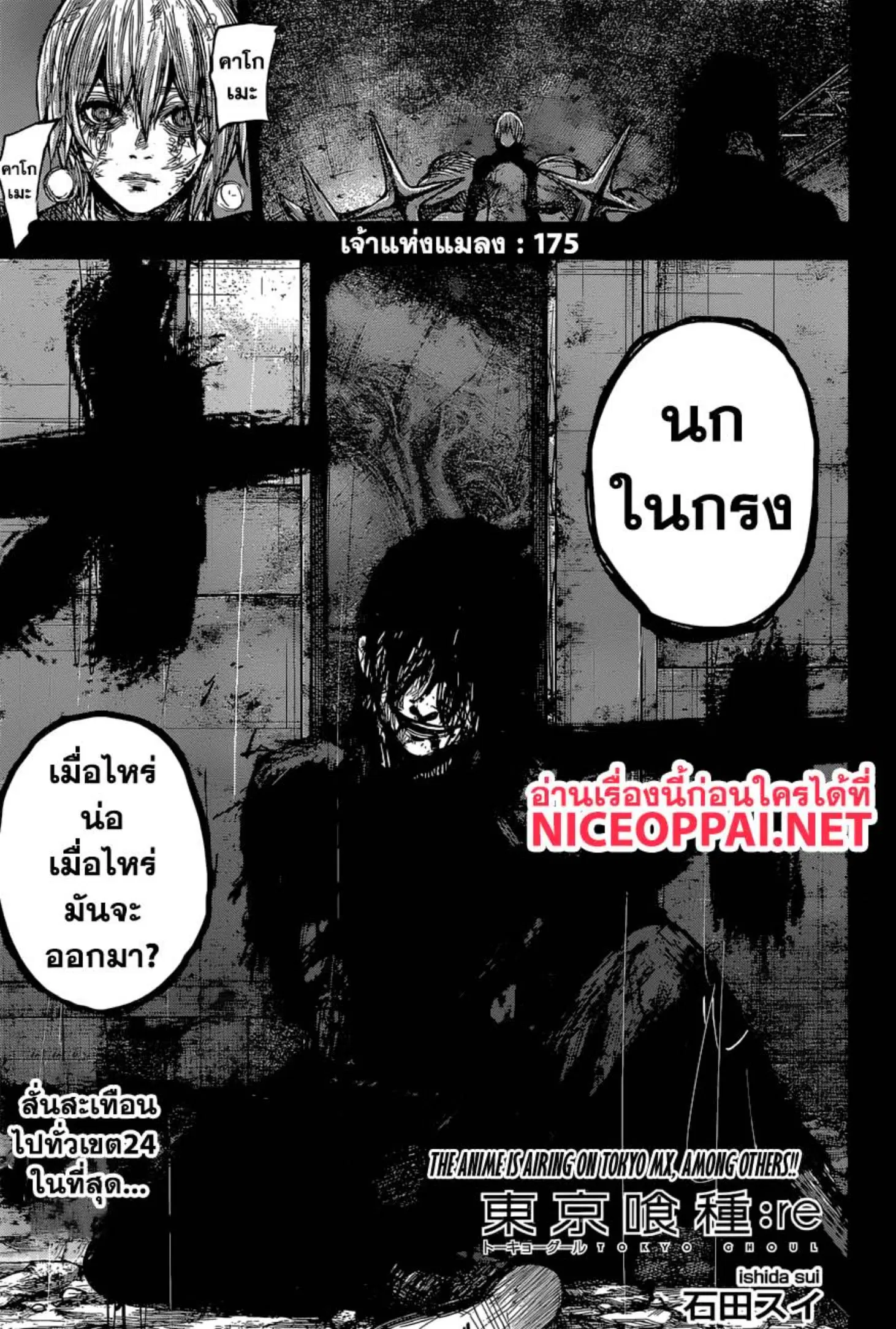 Tokyo Ghoul:re ตอนที่ 175 — หน้า 1 จาก 17