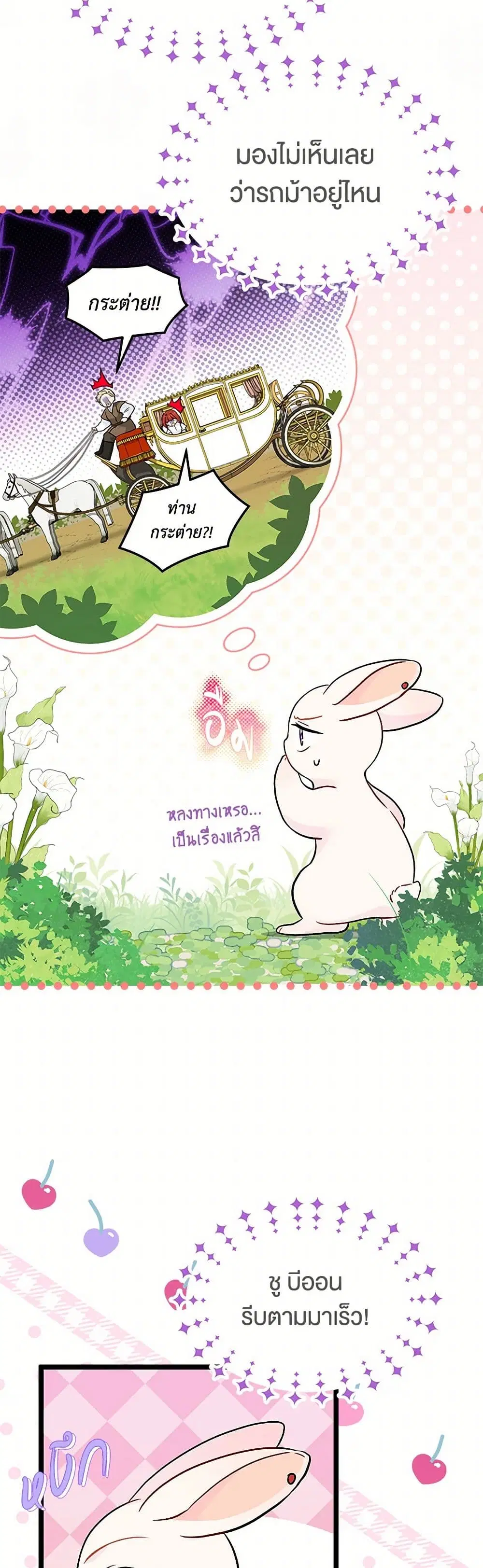The Symbiotic Relationship Between a Panther and a Rabbit ตอนที่ 155 — หน้า 11 จาก 37