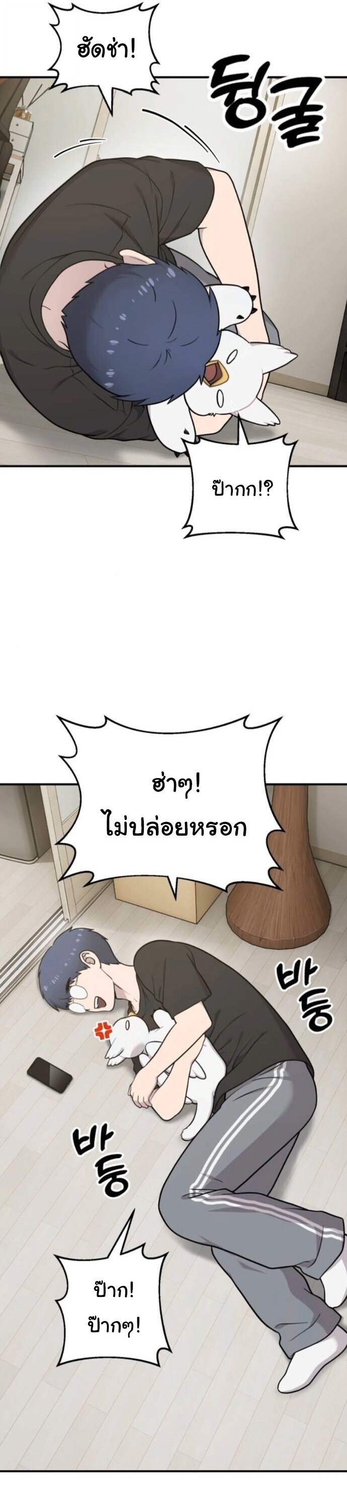 Hello, Griffin the Fluffy Tit! เฮลโหลกริฟฟิน! ตอนที่ 32 — หน้า 14 จาก 49