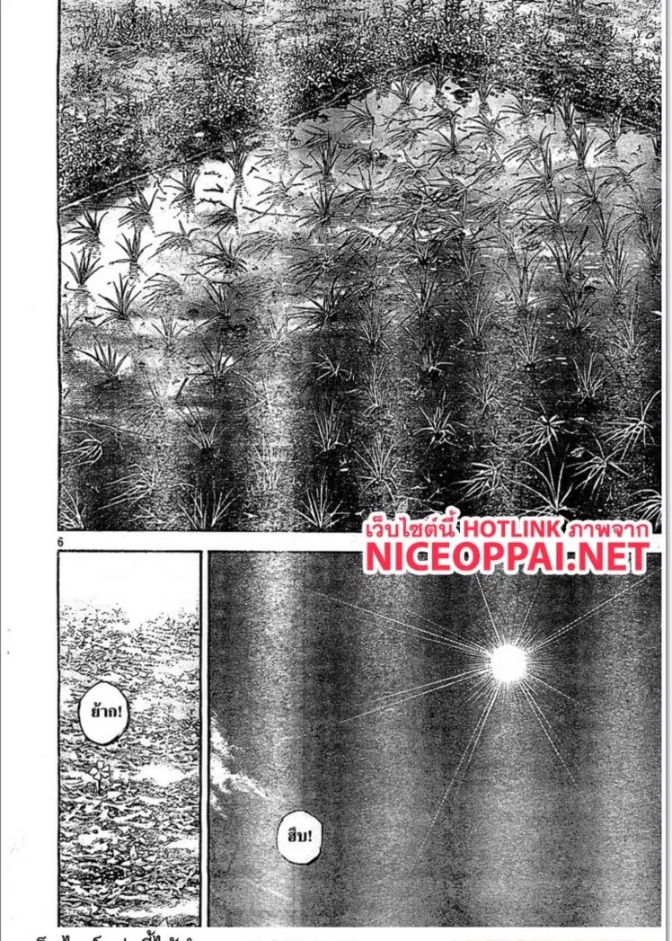 Vagabond ตอนที่ 320 — หน้า 6 จาก 28