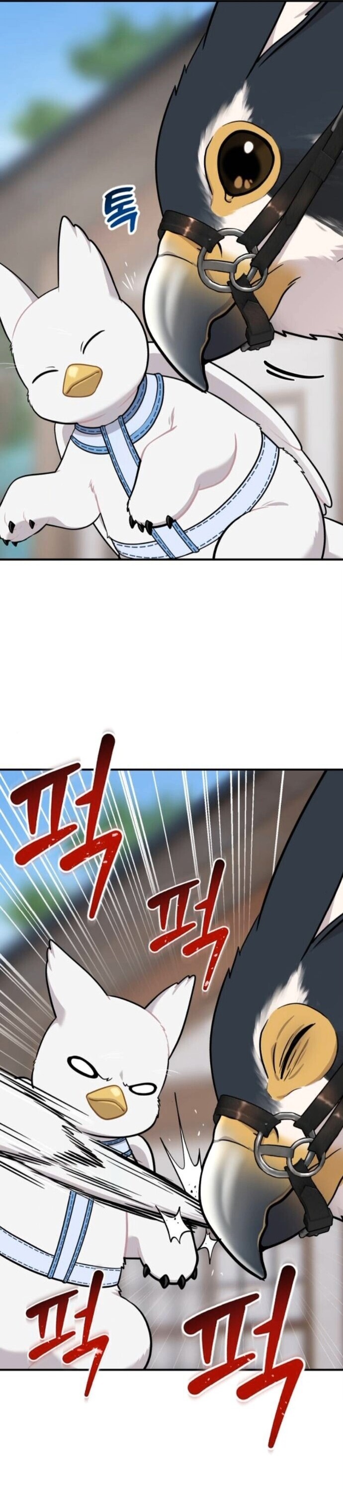 Hello, Griffin the Fluffy Tit! เฮลโหลกริฟฟิน! ตอนที่ 24 — หน้า 33 จาก 55