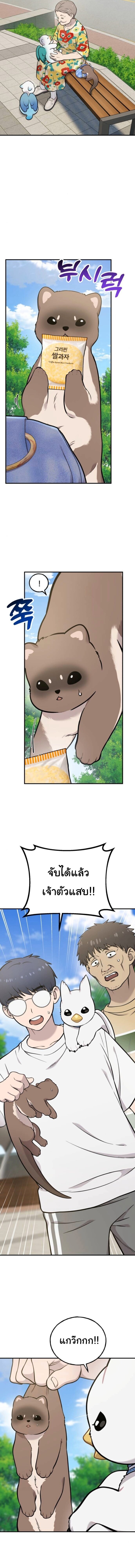 Hello, Griffin the Fluffy Tit! เฮลโหลกริฟฟิน! ตอนที่ 37 — หน้า 13 จาก 15