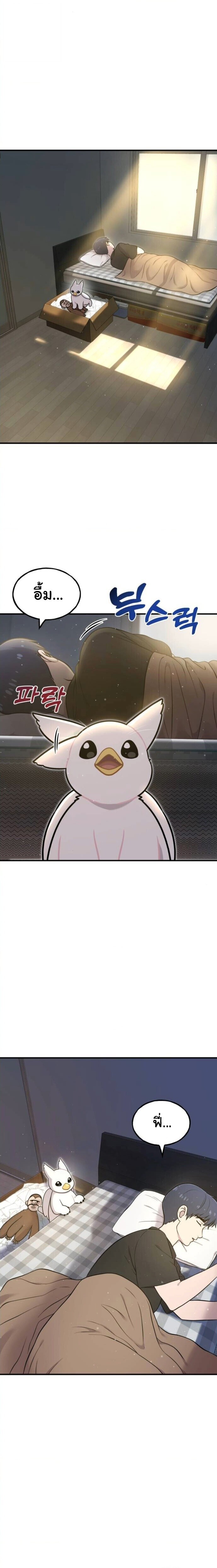Hello, Griffin the Fluffy Tit! เฮลโหลกริฟฟิน! ตอนที่ 8 — หน้า 2 จาก 26