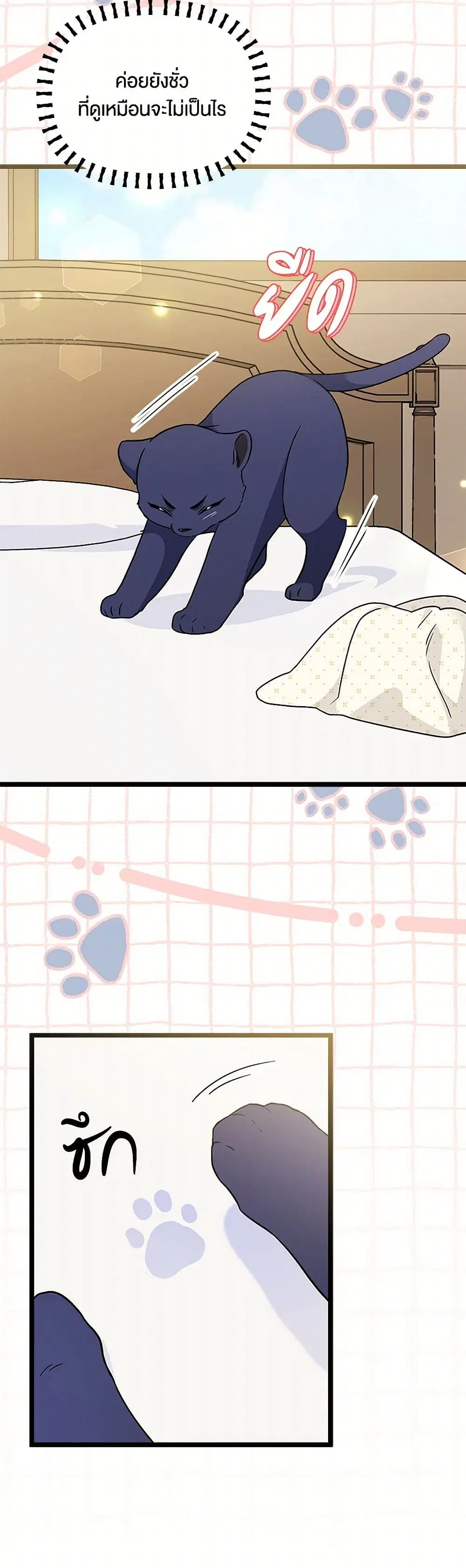 The Symbiotic Relationship Between a Panther and a Rabbit ตอนที่ 164 — หน้า 19 จาก 39
