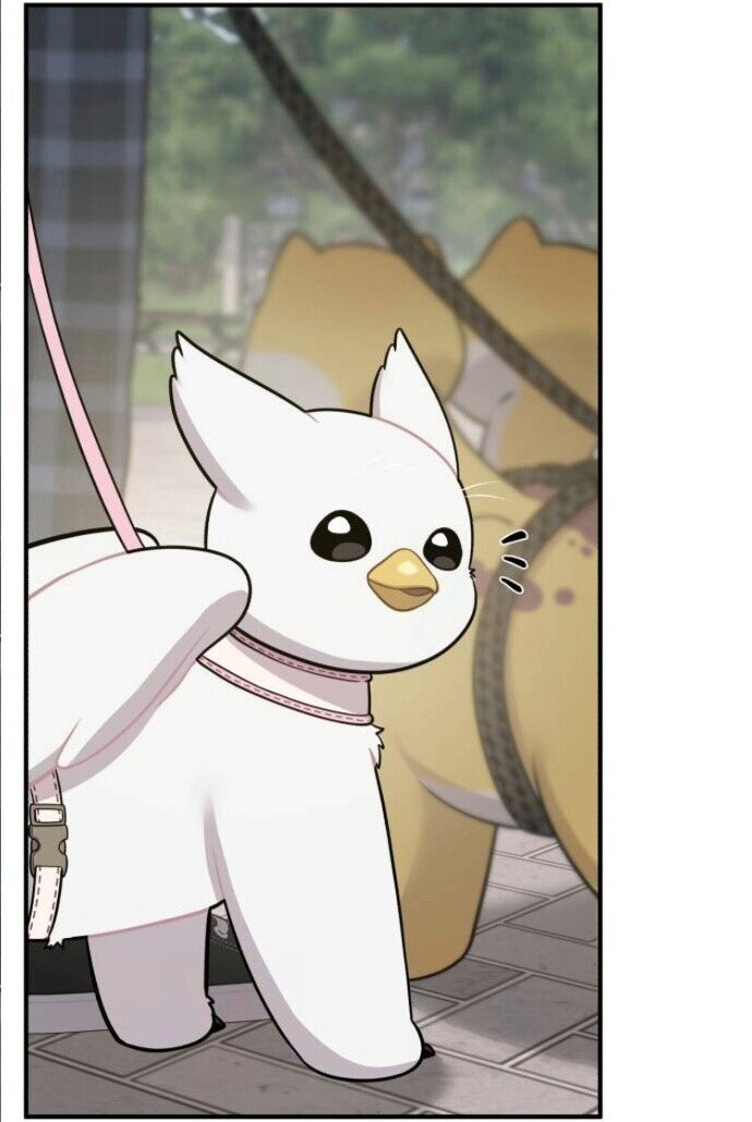 Hello, Griffin the Fluffy Tit! เฮลโหลกริฟฟิน! ตอนที่ 7 — หน้า 31 จาก 119