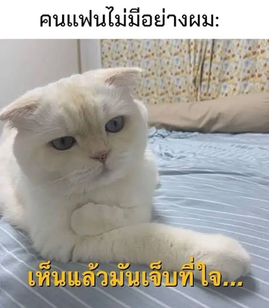 Dolls Nest: ORPHANS ตอนที่ 4 — หน้า 19 จาก 19